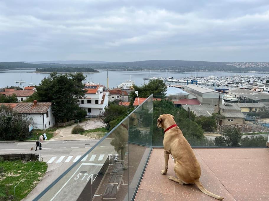 Panorama Penthouse Punat Exteriér fotografie
